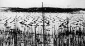 Tunguska